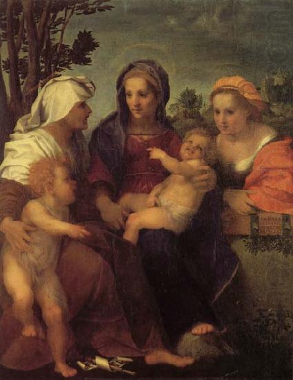 Andrea del Sarto Madonna and Child with St.Catherine china oil painting image